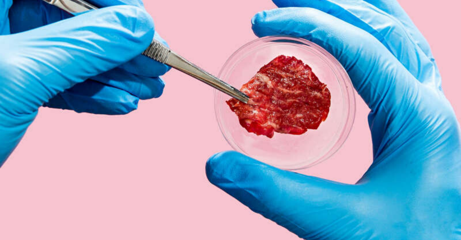 artificial-meat-Starfield.