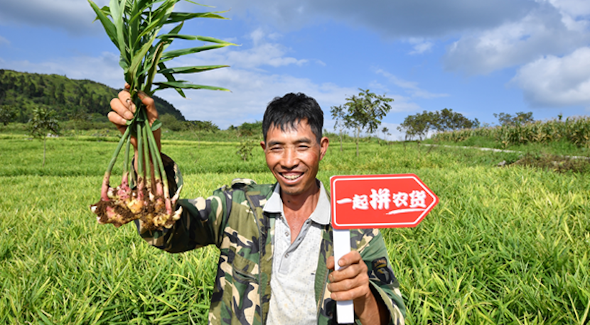 A farmer in China showing his produce on Pinduoduo