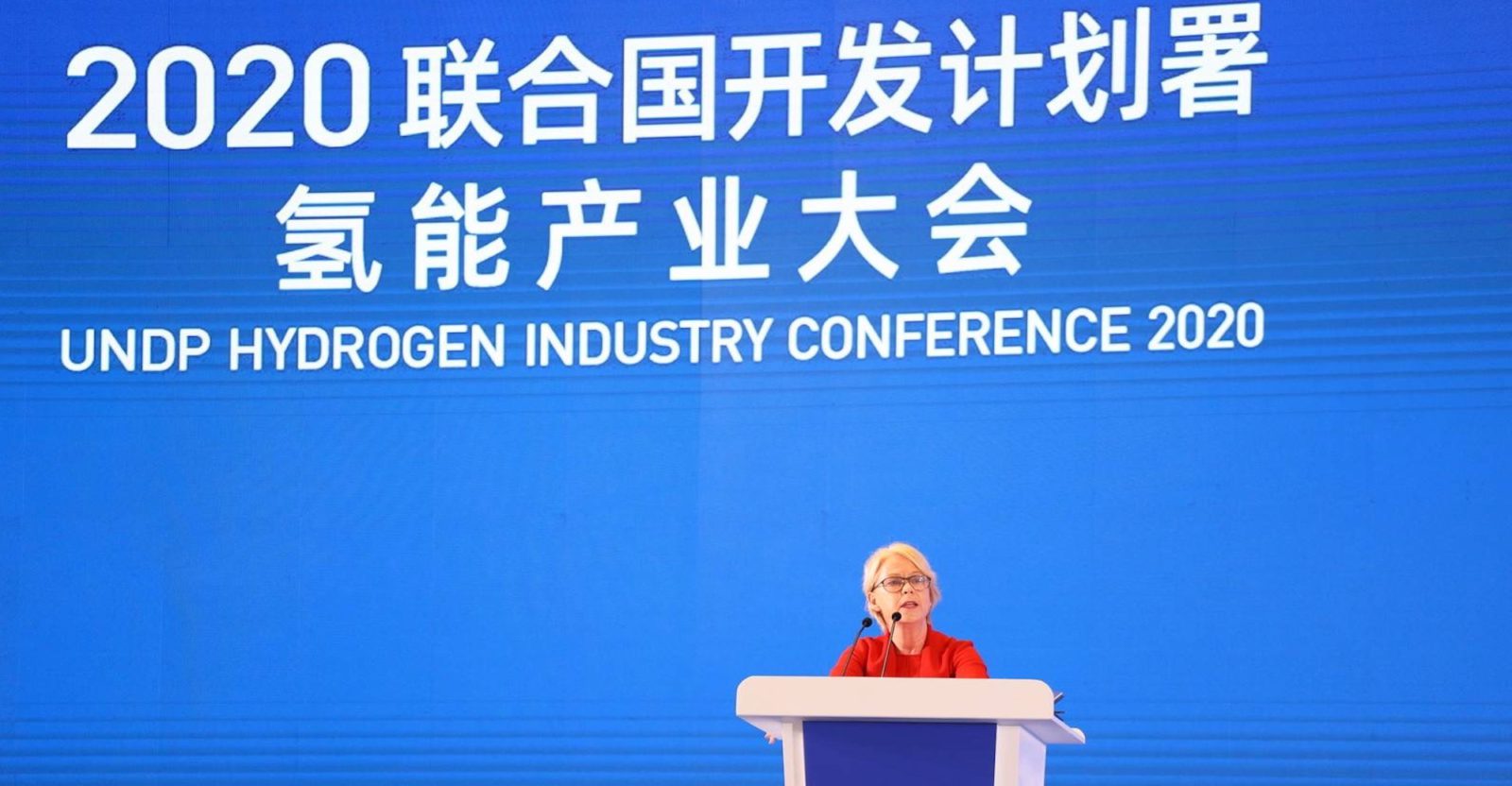 2020 UNDP Hydrogen Industry Conference Kicks off in Foshan, Themed “Green Hydrogen, Green Recovery”