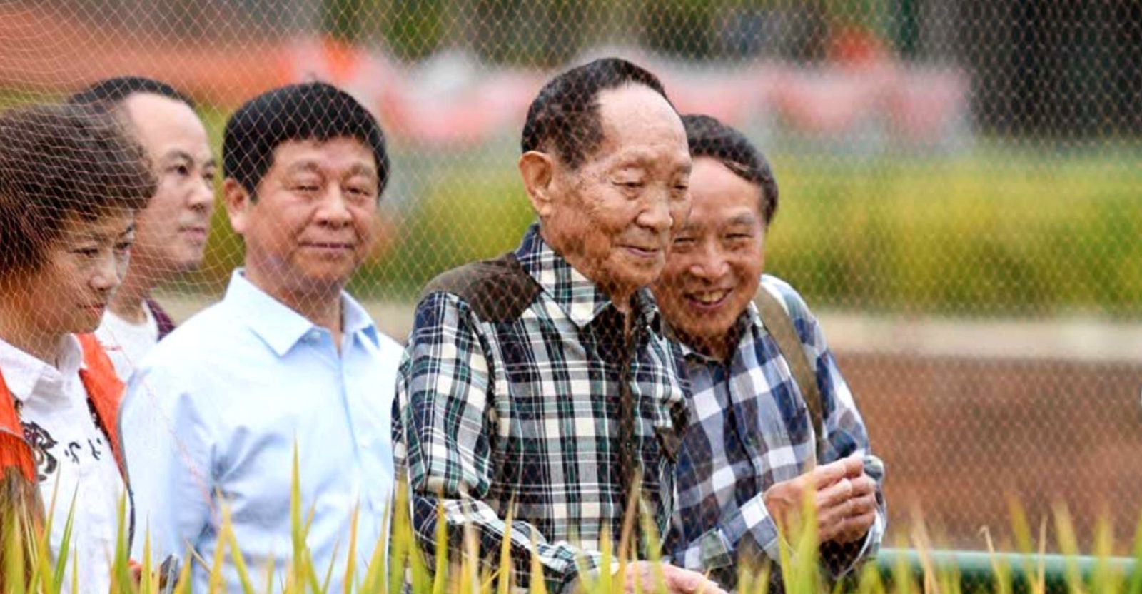 Yuan Longping shows visitors around a paddy in Hunan Province on Oct. 22, 2019. (Source: China News Service)