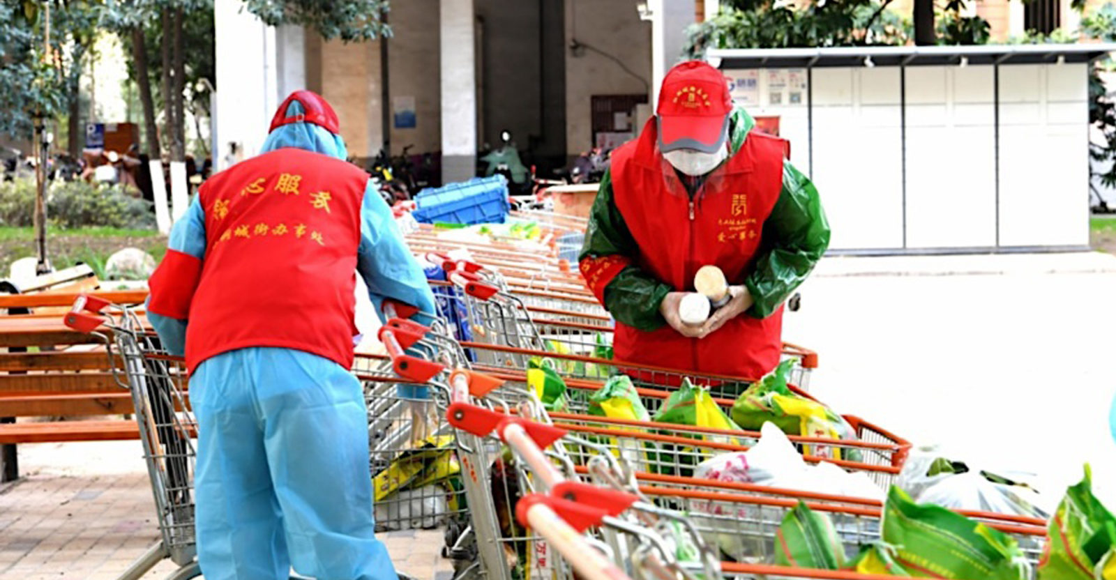 Why is the Community Group Buying Model Surging in China?