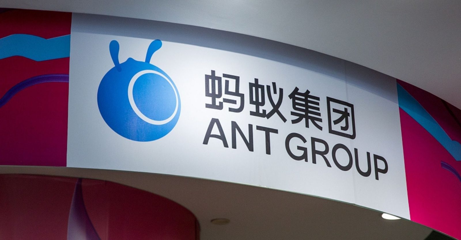 ant