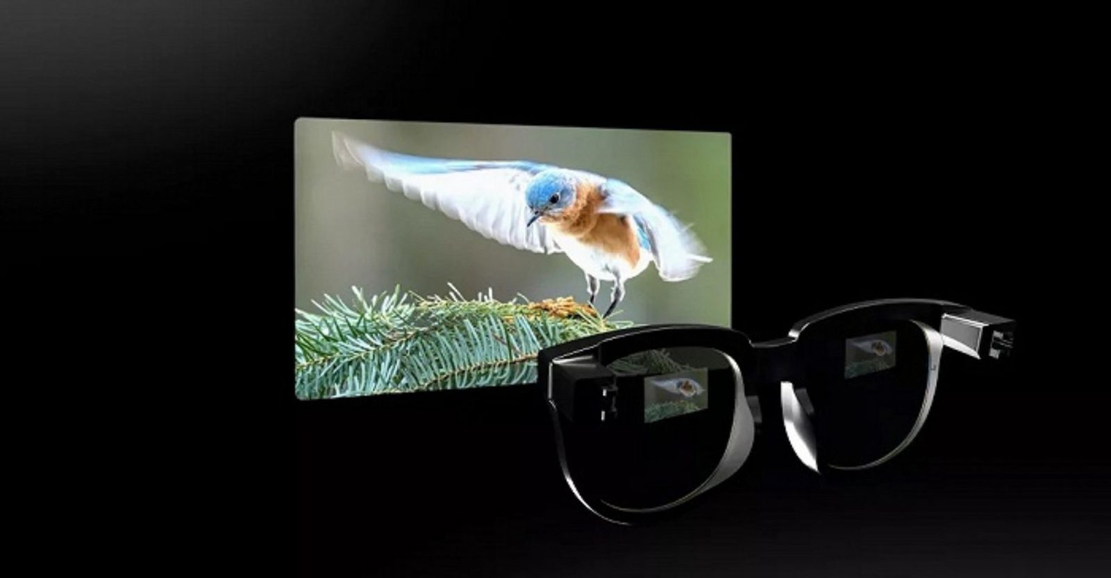 Thunderbird Innovation