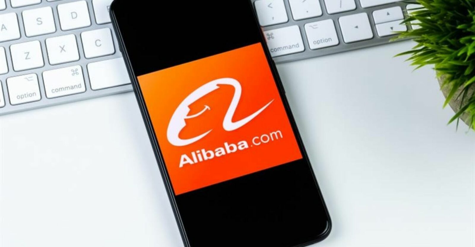 alibaba