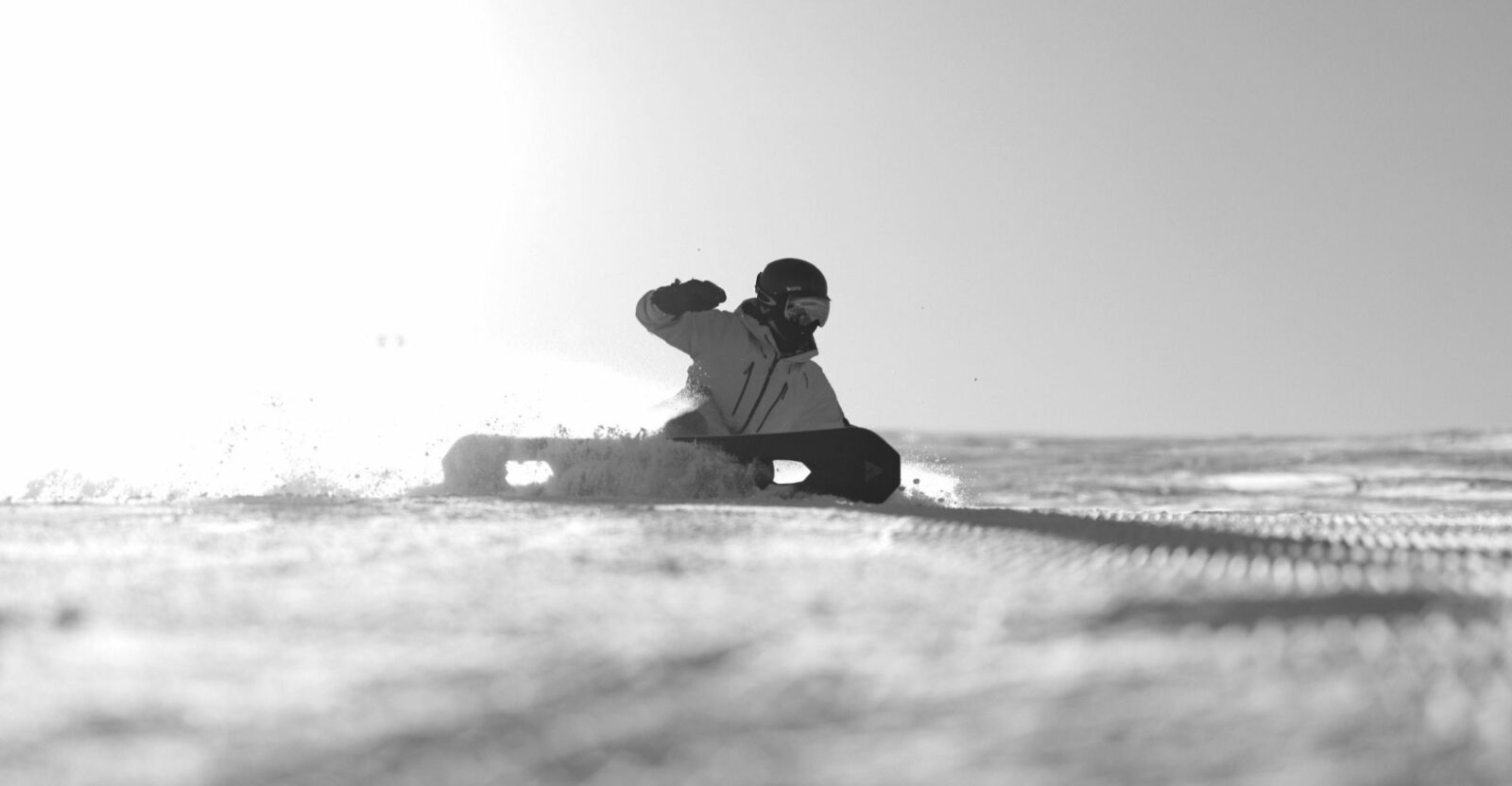 sports SnowyOwl