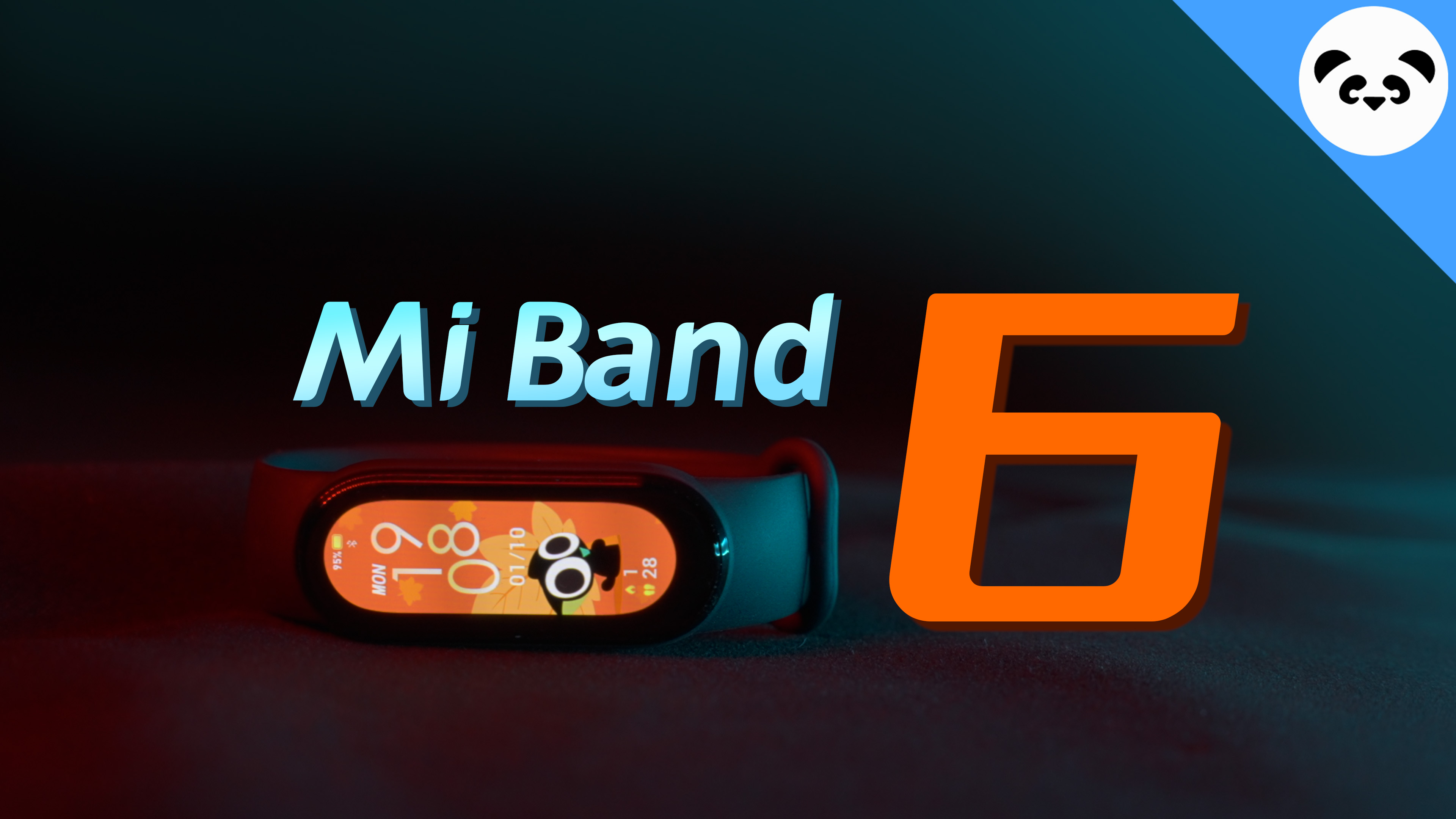 Xiaomi Fitness Band - Mi Band 6 Full Review